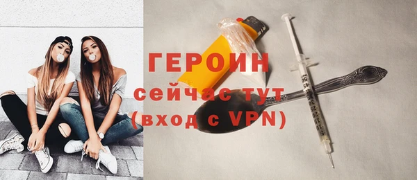 ПСИЛОЦИБИНОВЫЕ ГРИБЫ Дмитриев