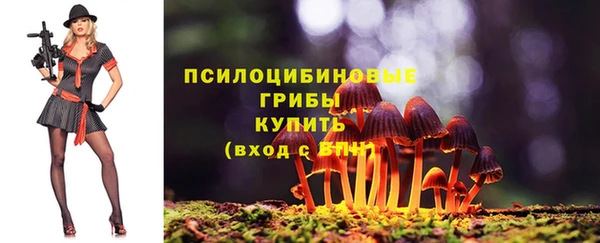 каннабис Дмитровск