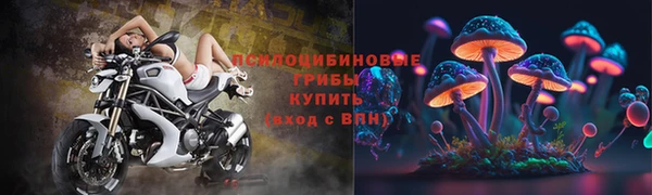 ПСИЛОЦИБИНОВЫЕ ГРИБЫ Дмитриев