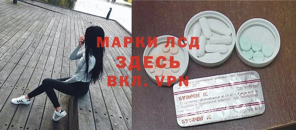 ПСИЛОЦИБИНОВЫЕ ГРИБЫ Дмитриев