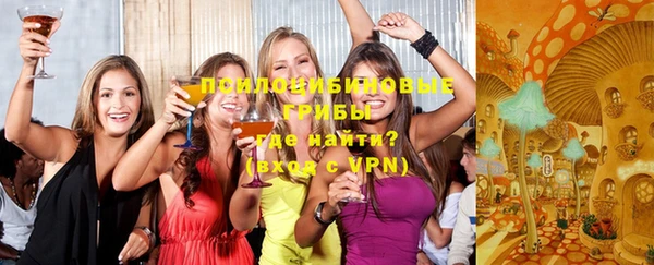ПСИЛОЦИБИНОВЫЕ ГРИБЫ Дмитриев