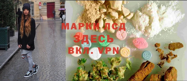 ПСИЛОЦИБИНОВЫЕ ГРИБЫ Дмитриев