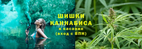 ПСИЛОЦИБИНОВЫЕ ГРИБЫ Дмитриев