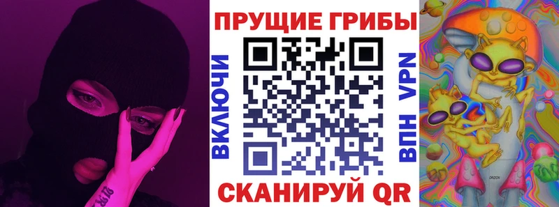 Купить где  Ипатово  Галлюциногенные грибы Psilocybe 